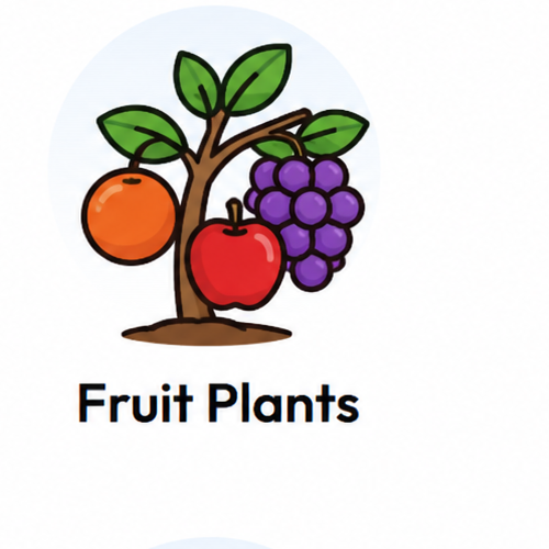 Fruit Plants