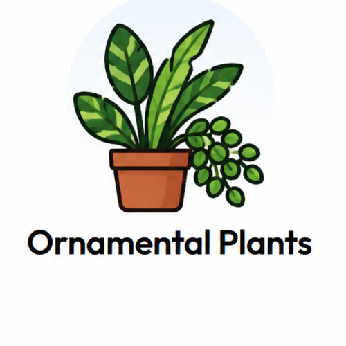 Ornamental Plants