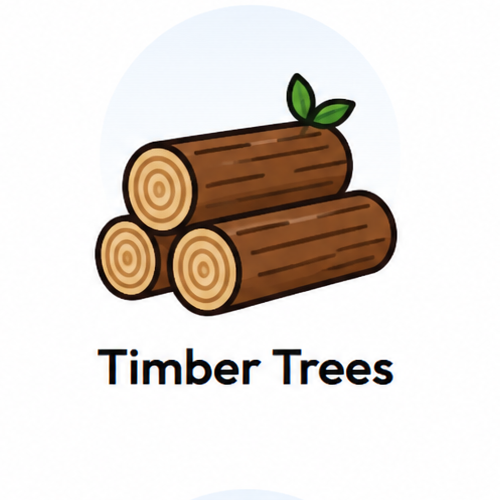 Timber Trees