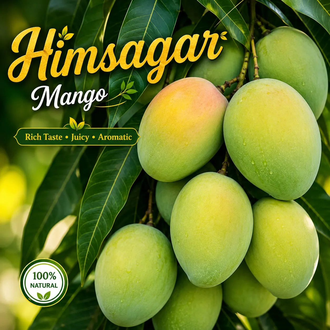Himsagar (ஹிம்சாகர் மா)