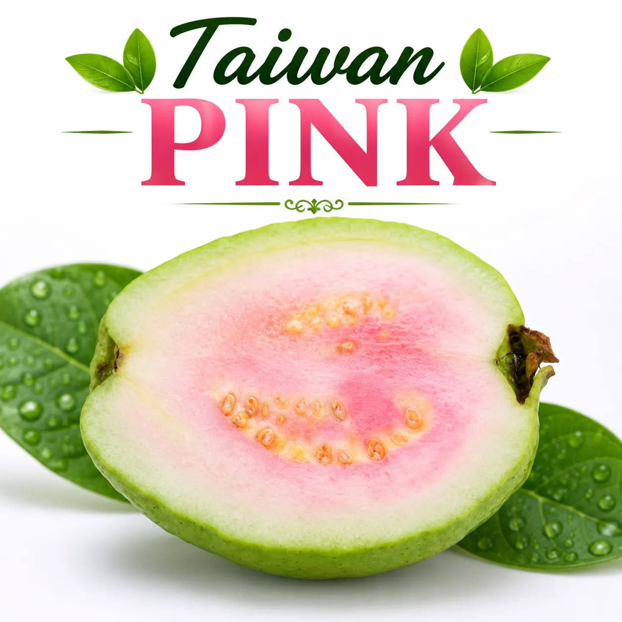 Taiwan Pink Guava (தைவான் பிங்க் கொய்யா)